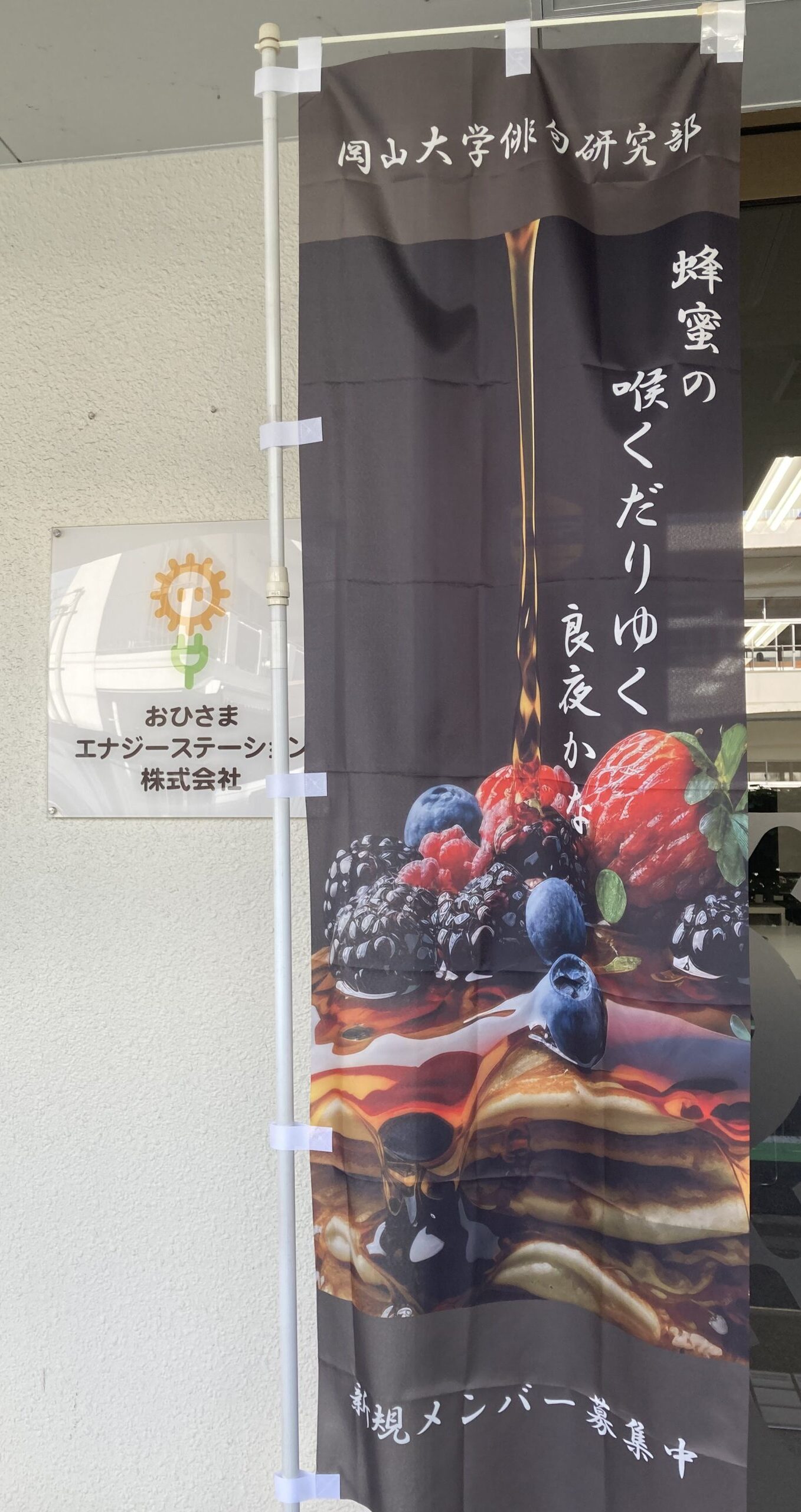 俳句のぼり（11月）