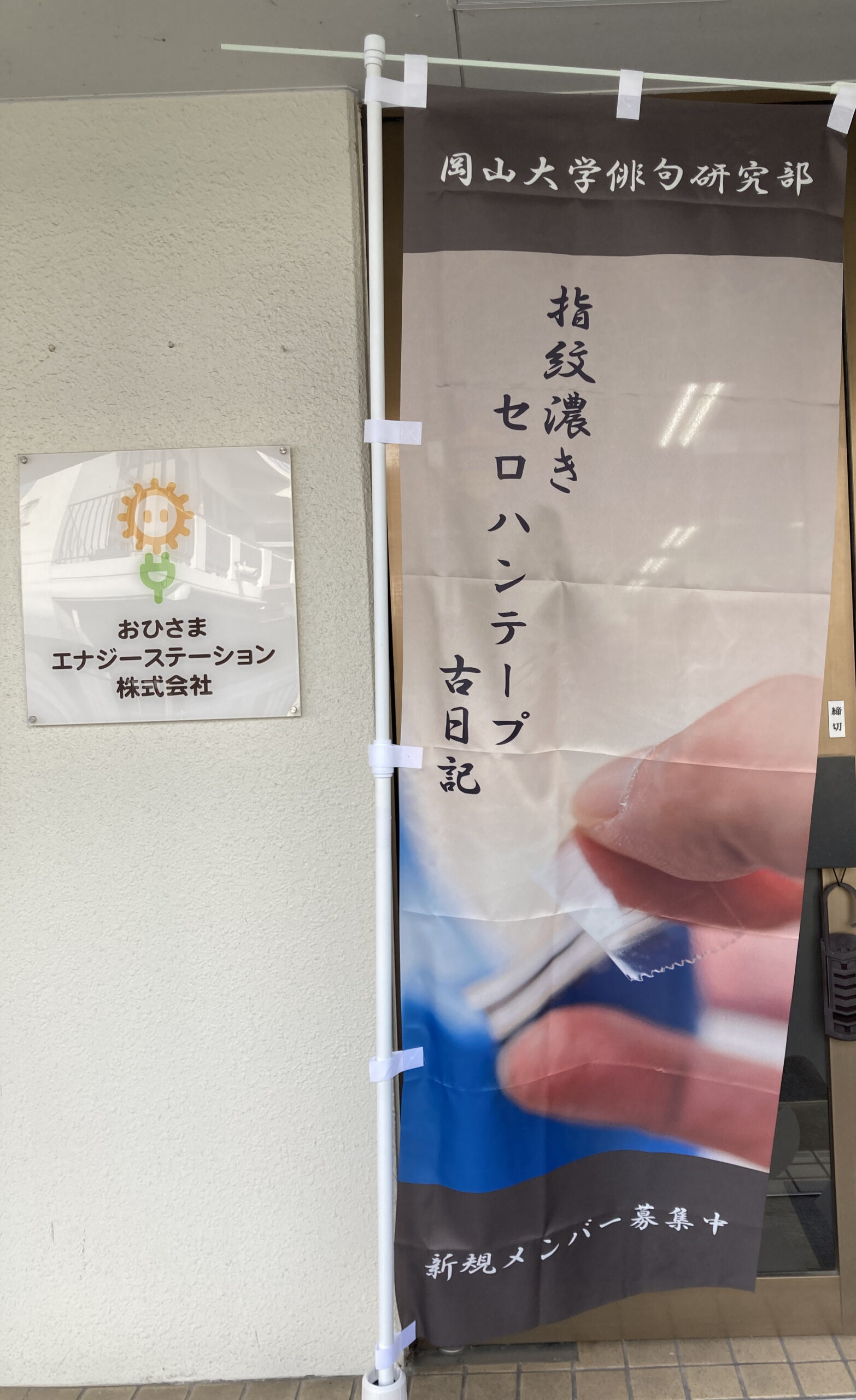 俳句のぼり(1月)